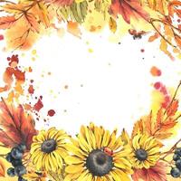Autumn berries physalis, chokeberry, rowan leaves, maple, birch, rudbeckia flowers, tree branches and ladybugs. Watercolor illustrations. Blank template for text square. vector