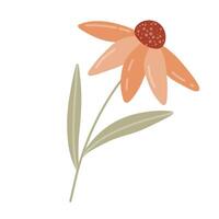 A simple autumn floral illustration featuring two stylized coneflowers and a branch with orange flowers, using muted tones of orange, brown, and green. Perfect for seasonal and botanical designs. vector