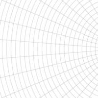 Square Black and Wight Abstract Hemispheric Mesh vector