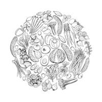 Vegetable Outline Circle Design Element. Illustration in Black Lines on White with Broccoli, Onion, Tomato, Garlic vector