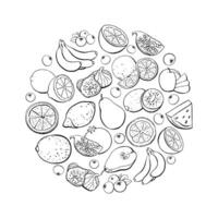 Black Outline Fruit Design Elements Isolated on White Background vector