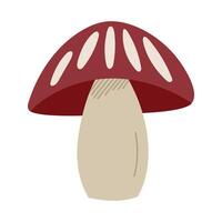 Hand draw autumn mushroom isolated on a white background.Single illustration in doodle flat style. Clipart cozy illustrations for print, packaging.Forest food in red and brown color. vector
