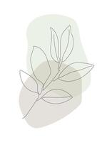 Laurel branch with leaves. Abstract contemporary line art illustration vector