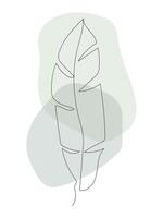 Palm leaf. Abstract contemporary line art illustration vector