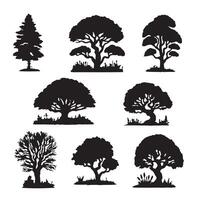 various deciduous trees silhouettes on the white background vector