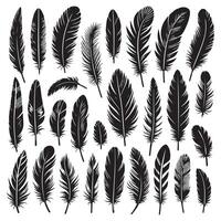 bird feather, collection silhouette on a white background vector