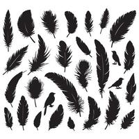 bird feather, collection silhouette on a white background vector