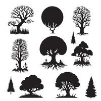 various deciduous trees silhouettes on the white background vector