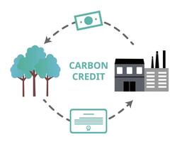 Carbon credits or carbon offsets, refer to carbon emissions reductions, measured in ton of carbon dioxide equivalent or tCO2e vector