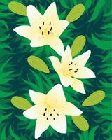 lily flower with leaf background. illustration background vector
