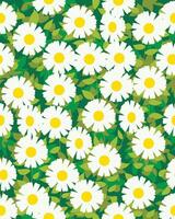 daisies background with leaves as the background, pattern background illustration vector