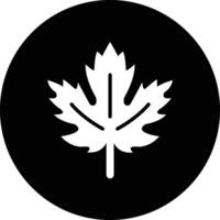 Maple leaf Icon Design Illustration vector