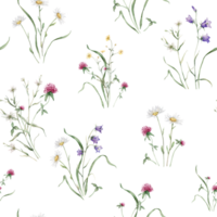 Watercolor floral seamless pattern with summer meadow flowers in botanical rustic style. Hand drawn print with bluebell, buttercup, clover, chamomile. Repeat wallpaper with leaves and plants. png