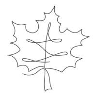 One line Autumn Leaf. Continuous drawing of maple tree part. Simple minimalist drawing of abstract spring foliage. Hand drawn element with editable stroke in autumn. vector