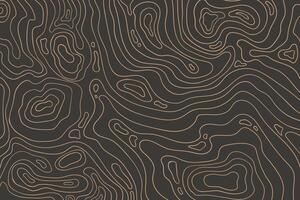 Topographic map with top view vector