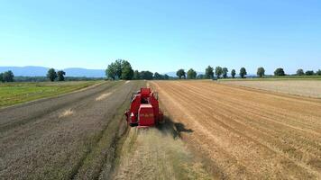 Aerial View Of A Red Combine Harvester Working In A Wheat Field, Poland. video