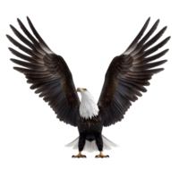 3d eagle rendering with open wings transparent background png