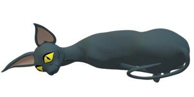 Innocent Cat isolated on a Transparent Background png
