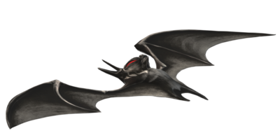 Black Scary Bat isolated on a Transparent Background png