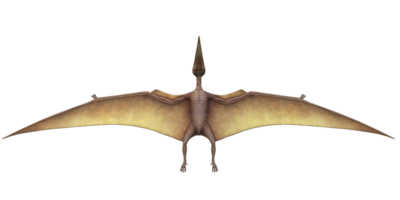 Pterodactyls with wings isolated on a Transparent Background png