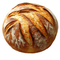 loaf of bread top view isolated png