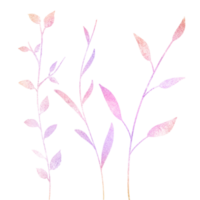Glittery Pink Branches with Leaves on a Transparent Background png