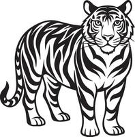 a tiger is standing in a black and white drawing vector