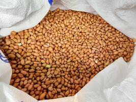 pile of shelled peanuts in a white sack. peas or beans photo