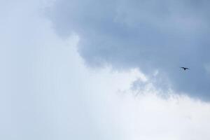 Blue sky background with tiny clouds, Nature cloud blue sky background, Blue Sky with Fluffy White Clouds on a Sunny Summer Day photo