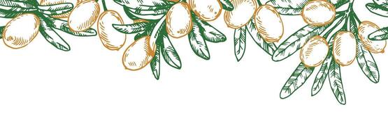 seamless border with sea buckthorn berries. frame in sketch style vector