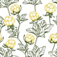 seamless pattern with cloudberries. print in sketch style vector