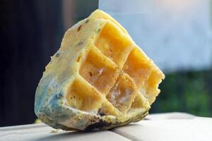 Close-up view of mold growing on waffle scraps. They are microscopic organisms made from airborne mold spores. Then it falls on food that has proper humidity and conditions. photo