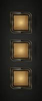 Three Luxury special geometrical shape of symbol with gold stoke around it used for high level and premium value concepts, illustration vector