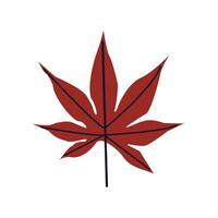 Red Icon with leaf , autumn natural leaf botanical illustration. Autumn hand drawn cute and cozy design element. Fall, Thanksgiving Day, Autumn season. vector