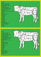 Butcher diagram showing the different cuts of beef meat vector
