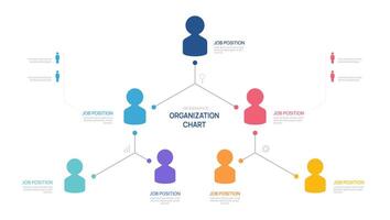 Infographic template organization chart with business avatar icons. hierarchy schema company. vector
