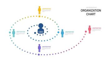 Infographic template circle organization chart with business avatar icons. hierarchy schema company. vector