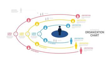circle Infographic template organization chart with business avatar icons. hierarchy schema company. vector