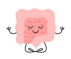 Happy healthy intestine character meditation yoga relax. Health gut organ sit in lotus, keep calm. illustration vector