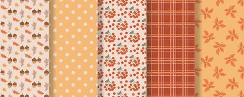 Cozy autumn seamless patterns set vector