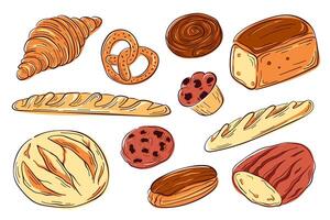 Various bakery and pastry food set in flat style. Collection of bread, buns, croissant, pretzel, eclair, cinnamon roll, baguette, chocolate cookie chip, muffin. vector