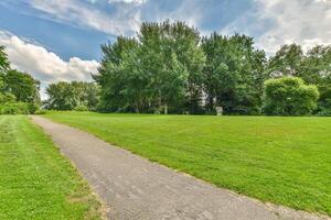 A path in a park with grass and trees photo