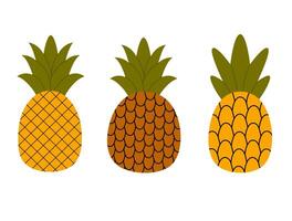 Set of three pineapple fruits in hand drawn style. Tropical fruit collection vector
