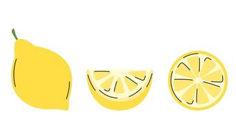 Set of fresh lemon. Whole, qurter acid lemon fruit and slice vector