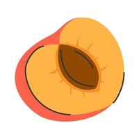 Juicy peach half with exposed pit. Suitable for fruit, nutrition, or summer design projects vector