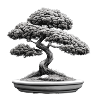 Black and white illustration of a tree with visible roots, featuring branches, leaves, and a sketchy, artistic style png