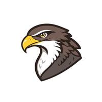 An eagle head with a yellow beak vector
