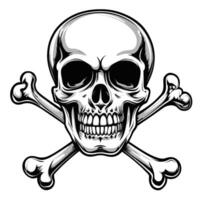 A skull and crossbones on a white background vector