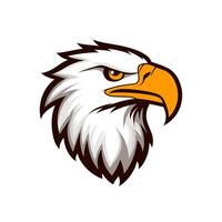 An eagle head on a white background vector