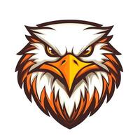 An eagle head with a big beak and a long tail vector
